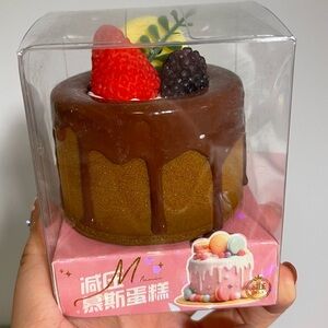 Chocolate Drip Cake Squish Toy with Magnet